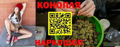 стаф Краснодар