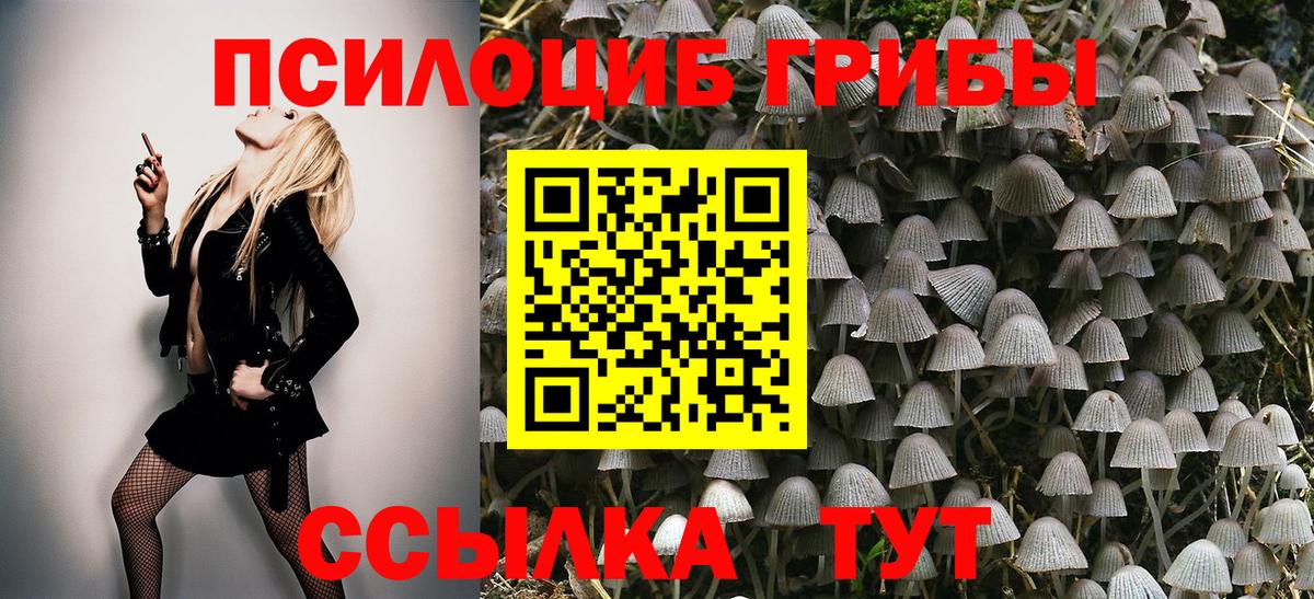 где можно купить наркотик  Вход с VPN  Котовск  Галлюциногенные грибы прущие грибы 