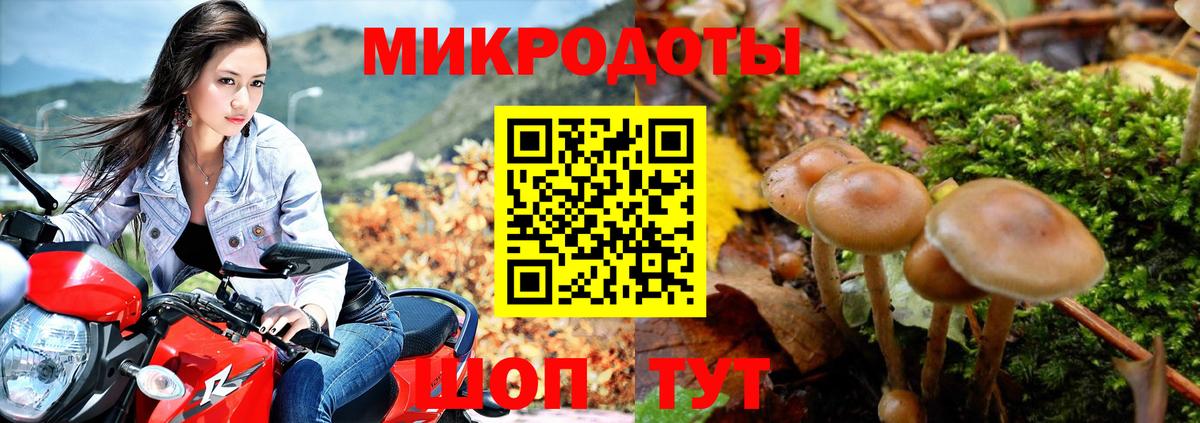 Галлюциногенные грибы MAGIC MUSHROOMS Котовск