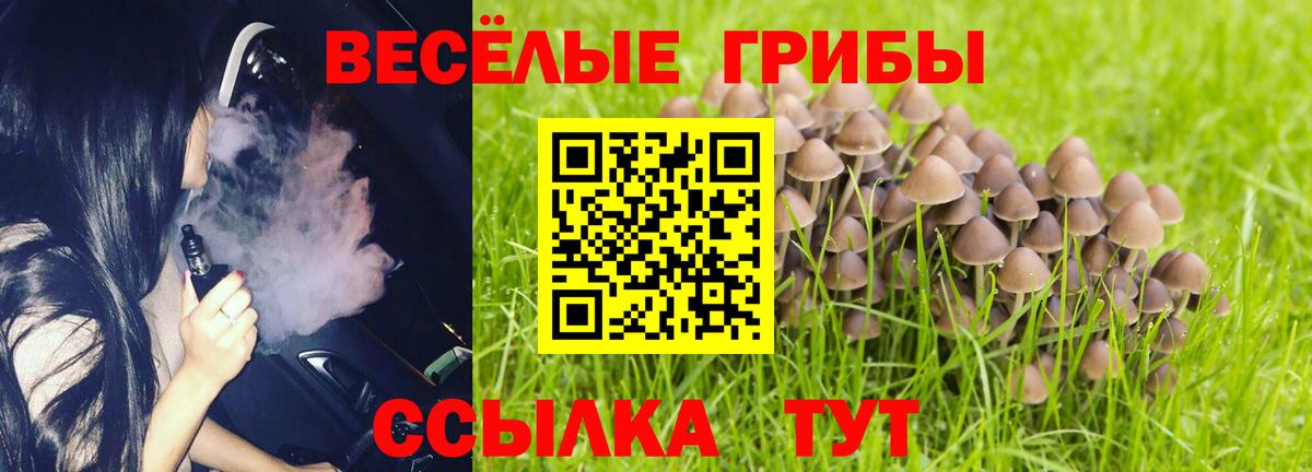 Котовск  Бошки Шишки  Вход с VPN  Альфа ПВП СК кристаллы  МЕТ  Гашиш  Мефедрон   LSD-25 